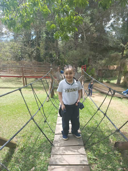 Bicho Mania 2022